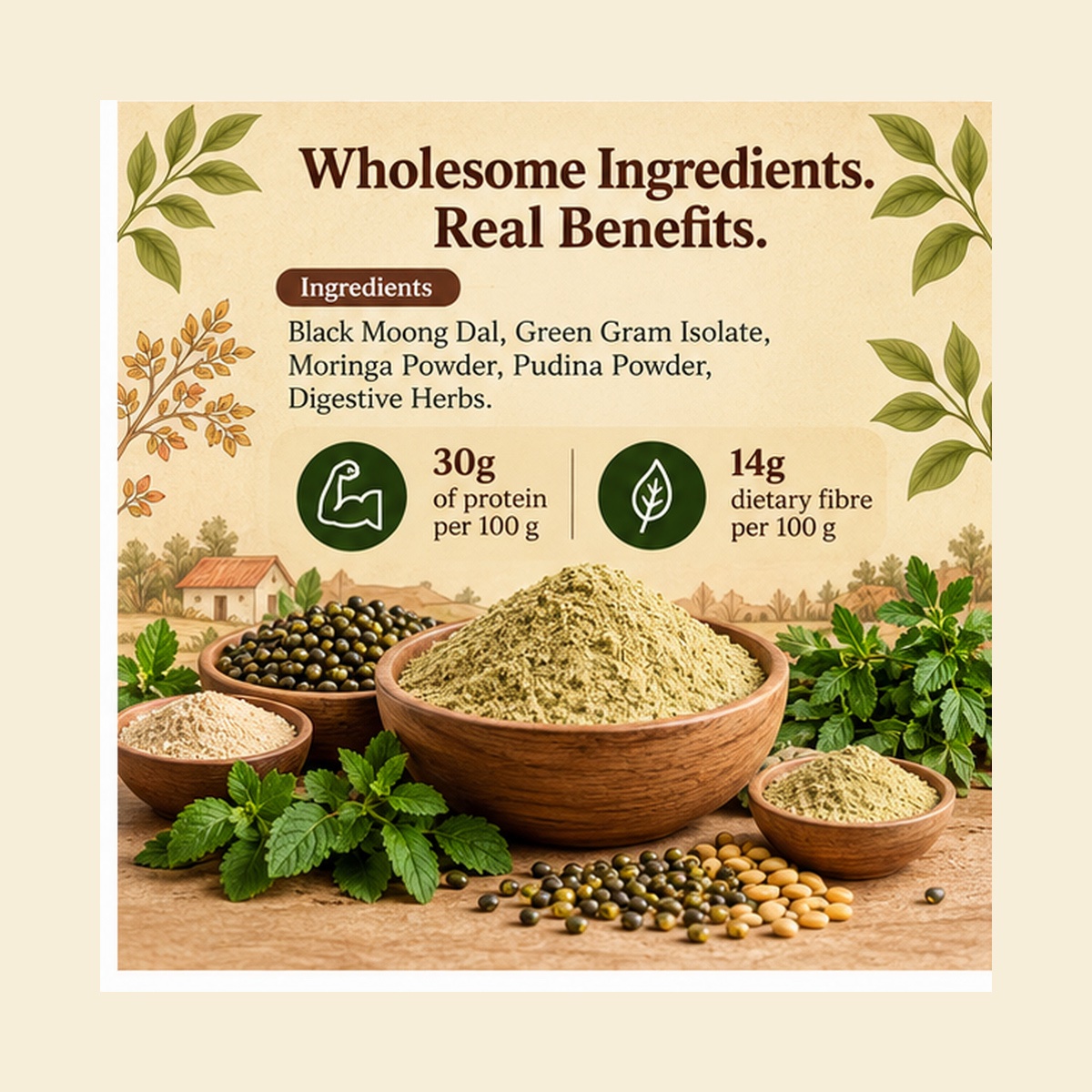 High Protein Chilla Mix