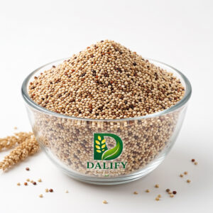 Quinoa