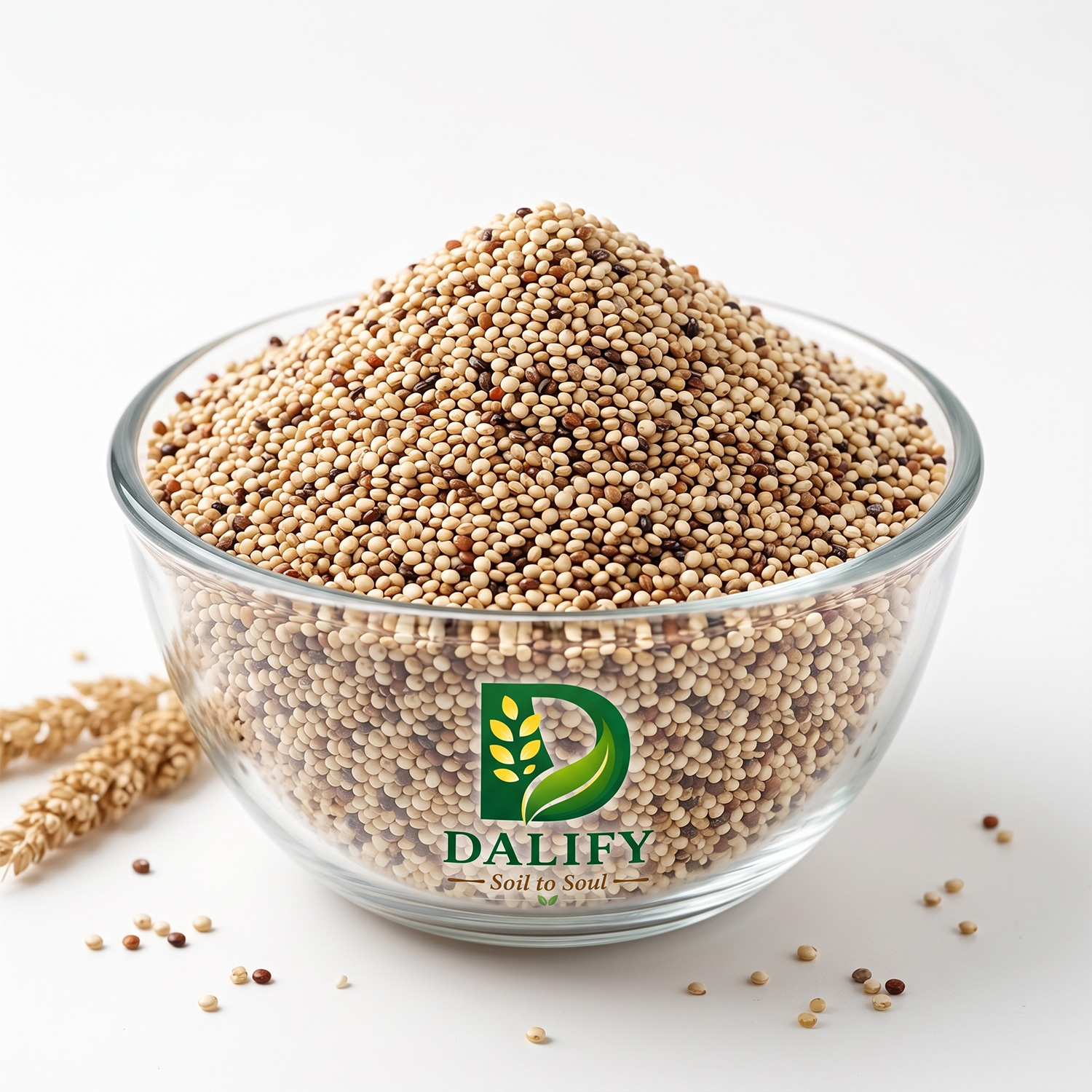 Quinoa
