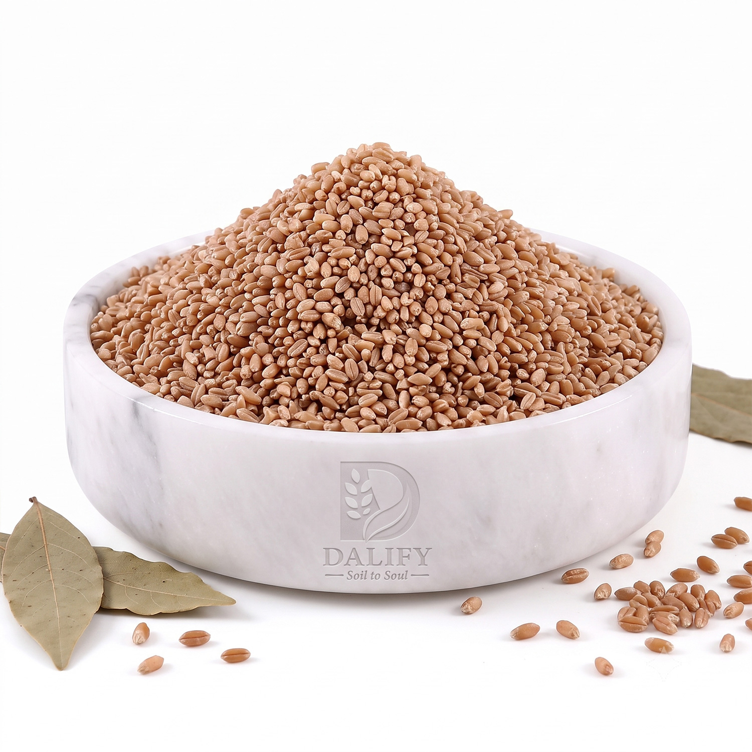 Red Wheat Dalia